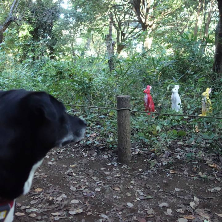 E405701d 9ee0 4ea4 baa6 fd94b5d7ac90 1697935372436