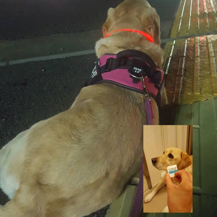 E4058713 a192 401b 8614 7c9ea5854241 1569926442325