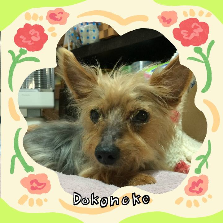 E4059167 7aa1 46f8 97e1 c84643ff282f 1715490910786