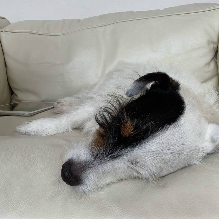 E405d623 8a51 43b7 9cea d0405f24b9a2 1592806226289