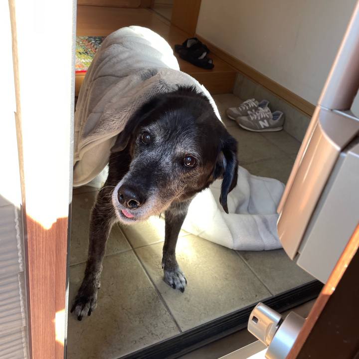 E405ef0d 841b 4573 a6df 591562c8f962 1762338066074