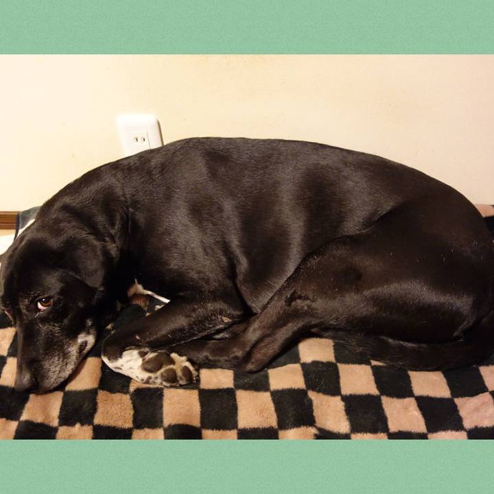 E405fd1c 376b 4c60 8b0f 6bccd1c6d402 1738408015806