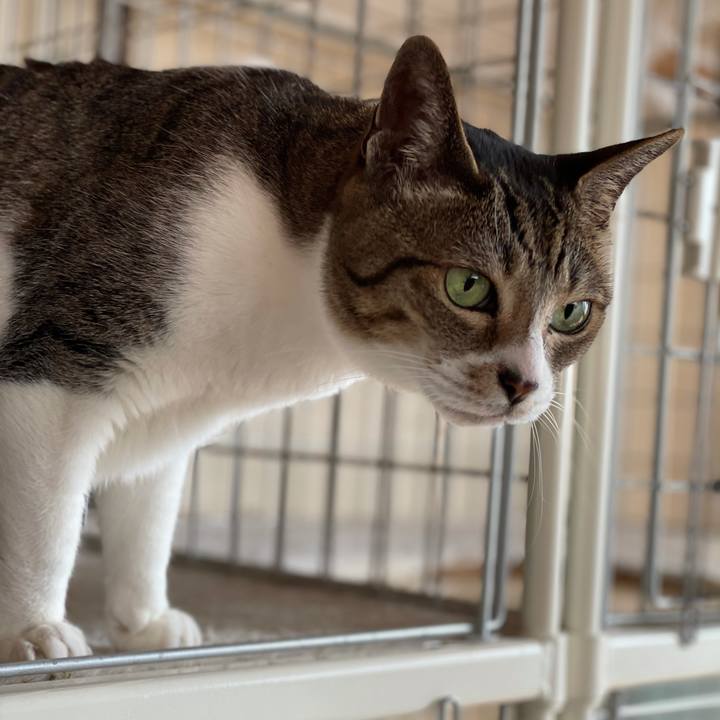 E40637a4 5eae 4be0 8139 5dbf019fe123 1619055051661