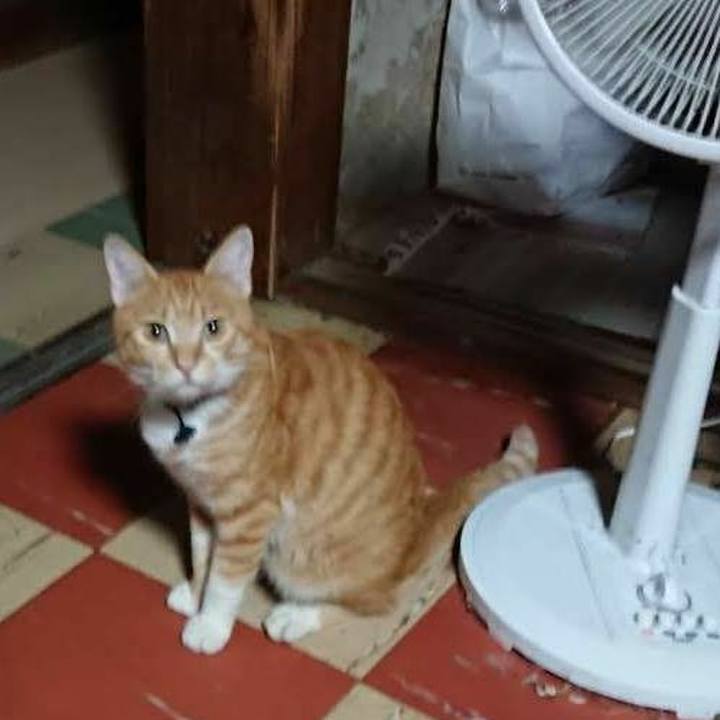 E4066d91 bacb 4342 9591 7d72507b1b19 1567712539203