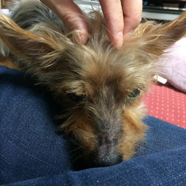 E40670a6 e6bb 48d7 8d8b b0b886591ce4 1639117336361