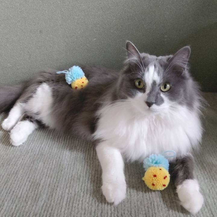 E406a702 1d76 4459 945e 2f7989104ca0 1619930231890