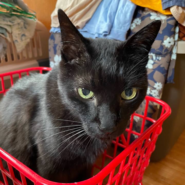 E406b84e 69e9 48d3 b4c1 0b041166bebb 1657072625432