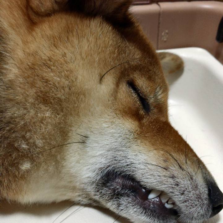 E406cf28 1f32 468f bff9 e22349f422d6 1533161025145