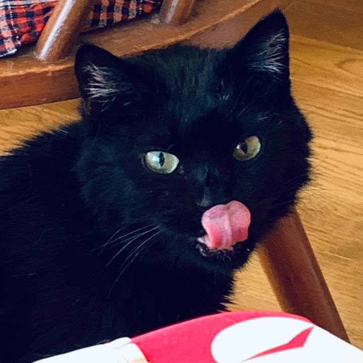 E4070380 ea9a 44e6 a9f2 8c6eb85a138f 1619515107787