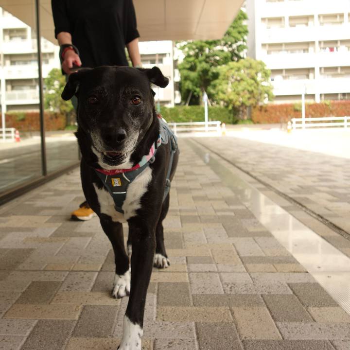 E4070757 a356 4135 9bcd 83b3649a00df 1747269597159