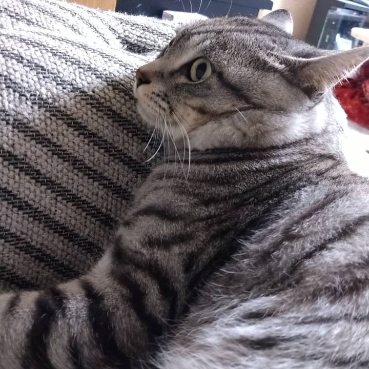 E4070b2d dc9d 4afc 85b4 d5b23398748e 1664365697690