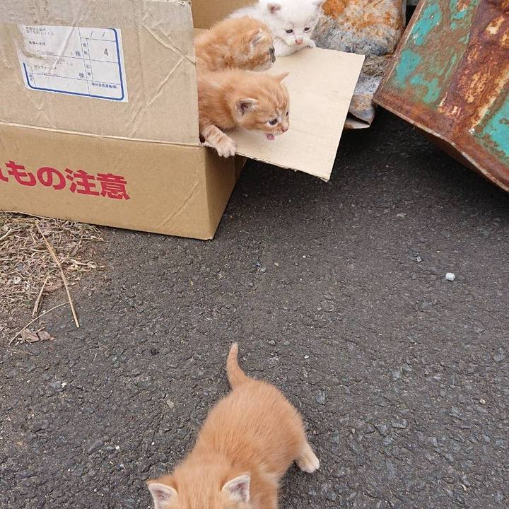 E4071009 828f 4e17 aa88 507a5b2f8f3d 1560000513174