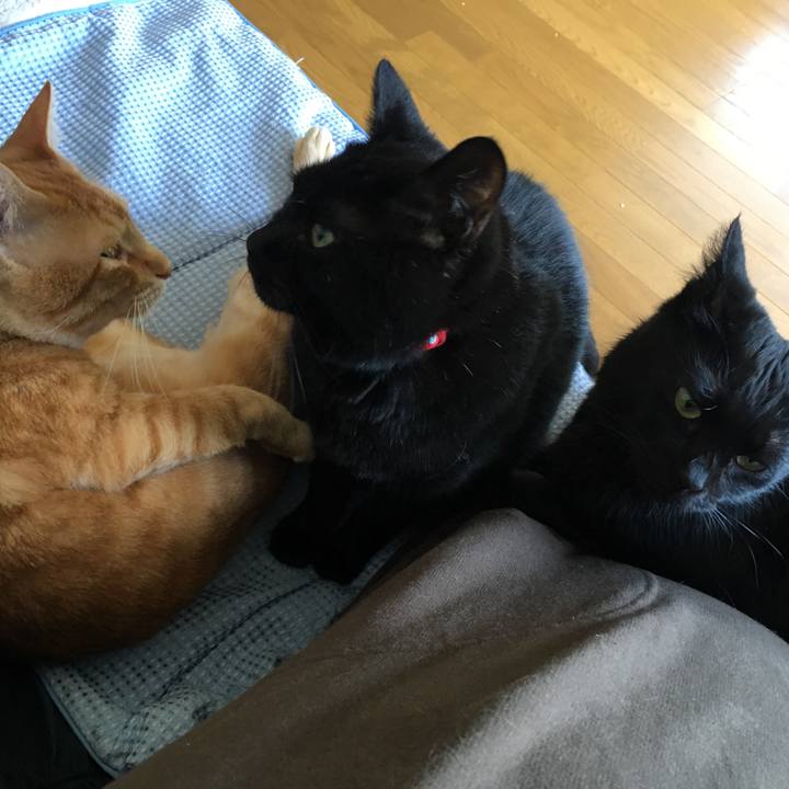 E4074b76 0635 4716 bbc3 77f25278da2f 1532353031178