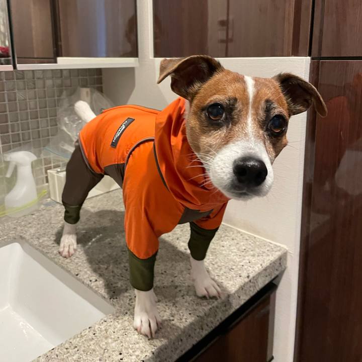 E40765f5 c170 4894 9420 5cf3bea8ffb6 1740002202049