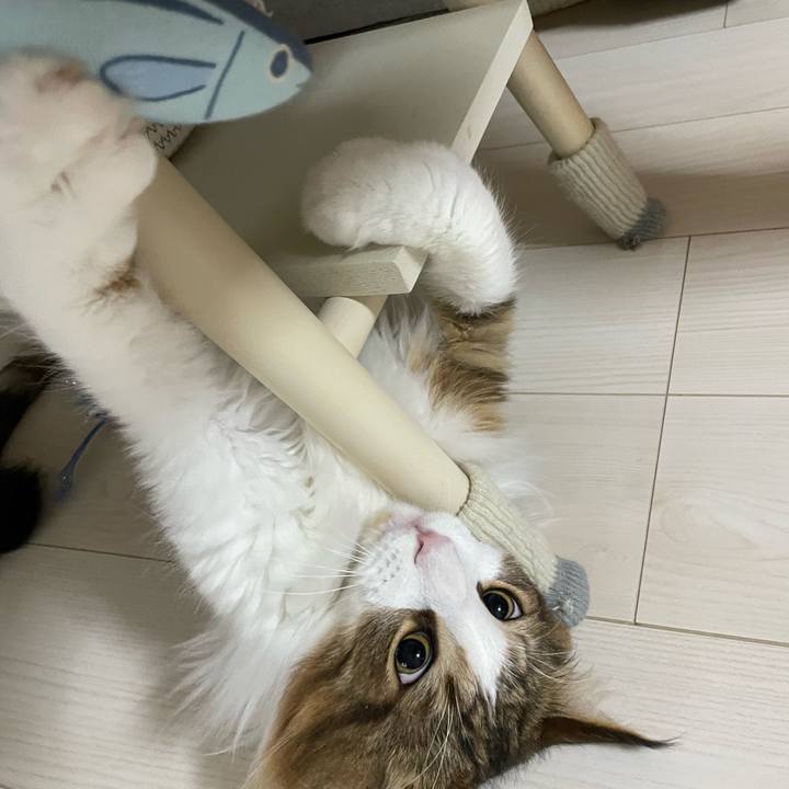 E40773fc 451c 4c8f 8027 aa2333c40535 1663879340212