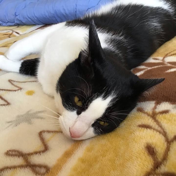 E407aa90 9e64 4adb 9cca 8ca1cbd40ae2 1651987982199