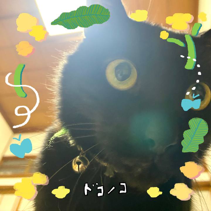 E407d854 4656 425c 9f72 92da536c2b83 1744384731911