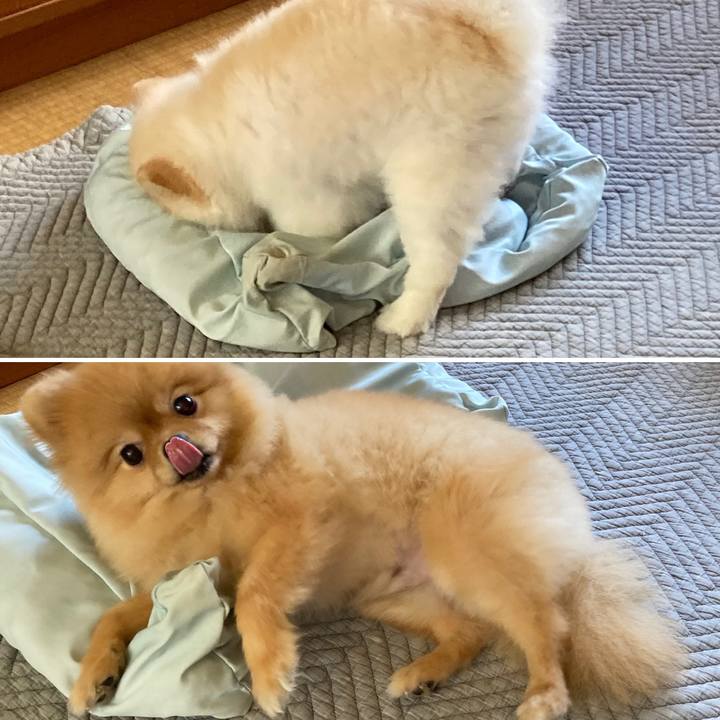 E407fdea a462 49c2 a94b d8016c08cbca 1726545038038