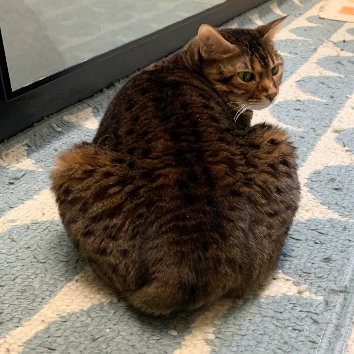 E40838ec 486a 4165 98b9 799c459efdc6 1613170804701