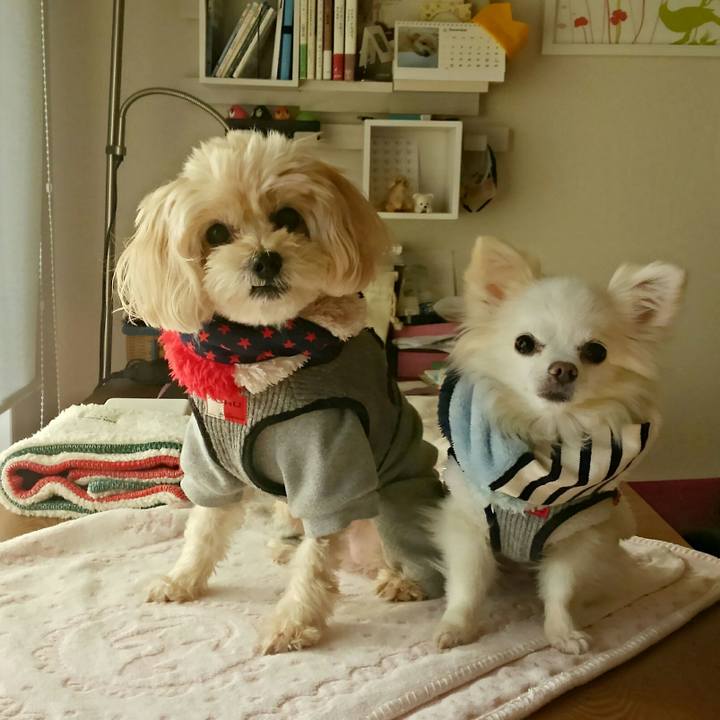 E4084d0d fc20 4357 9d89 1359b76c4aac 1514001060159