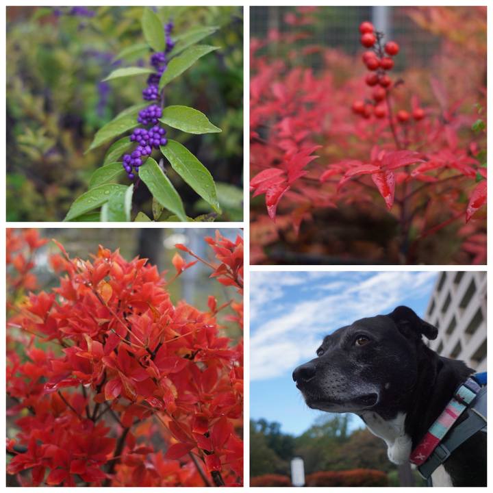 E40850a4 f614 468c 9b44 bbe986cac2b3 1762737882612