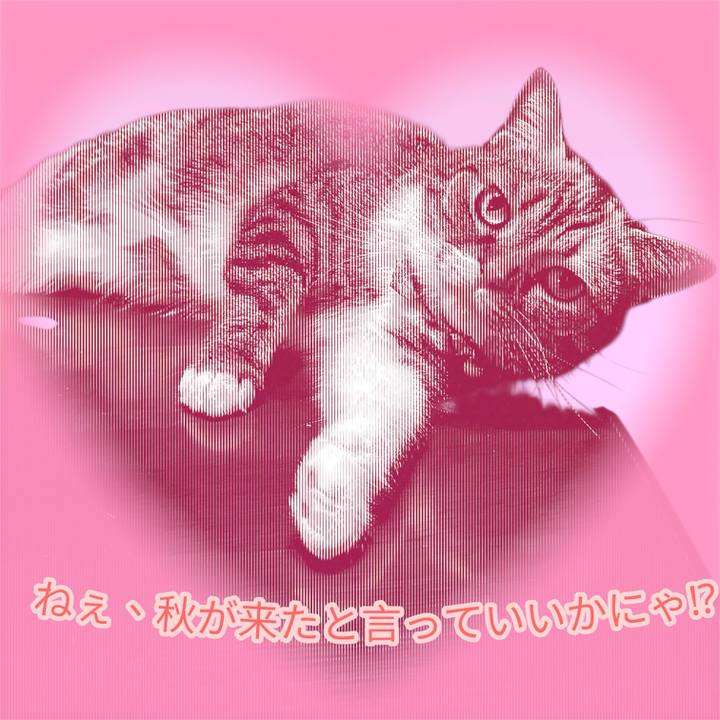 E4088b33 7904 4435 9532 573f089f3e9b 1758276336946