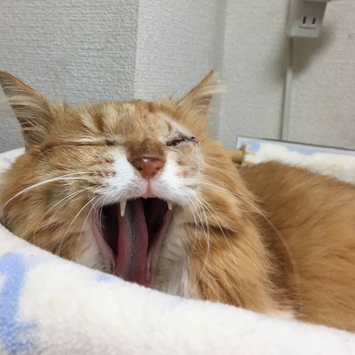 E408a000 259c 47ea a227 fa984a1b3c06 1519517653308