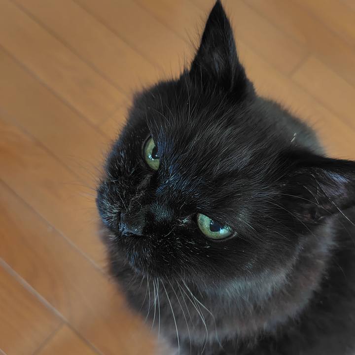 E408a511 d010 40b8 8303 6c385ee3e242 1750552856636