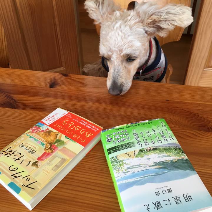 E408b7b9 2724 4ac0 b394 e28cb6166641 1522737718955