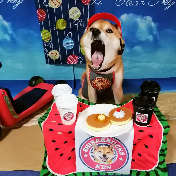 E408d895 b754 4cff a22c 2a9c028a6e15 1628909550472