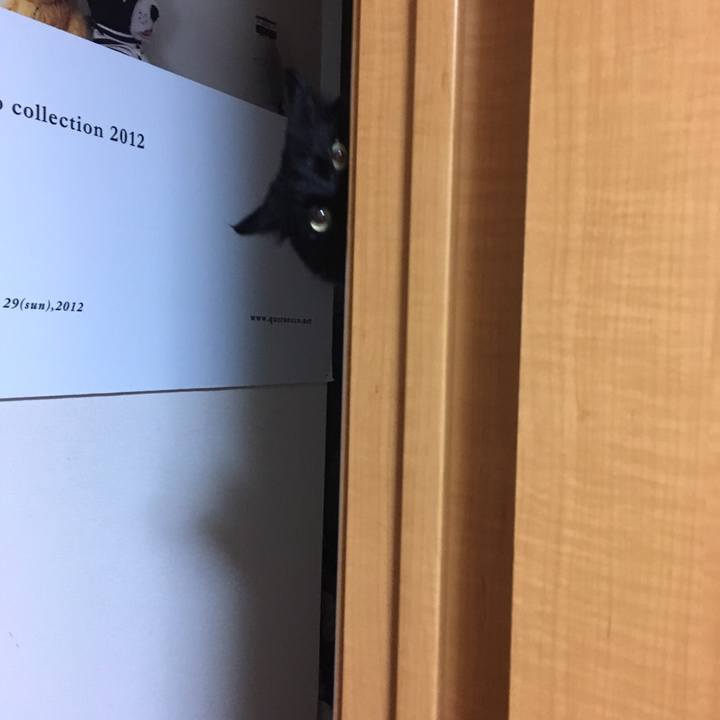 E408e228 c63c 4986 989f f313bb082118 1537563153610