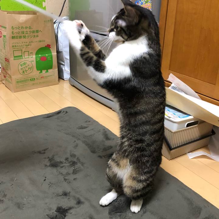 E408eadd 651f 4b6d a31c f732834c376a 1514585001617