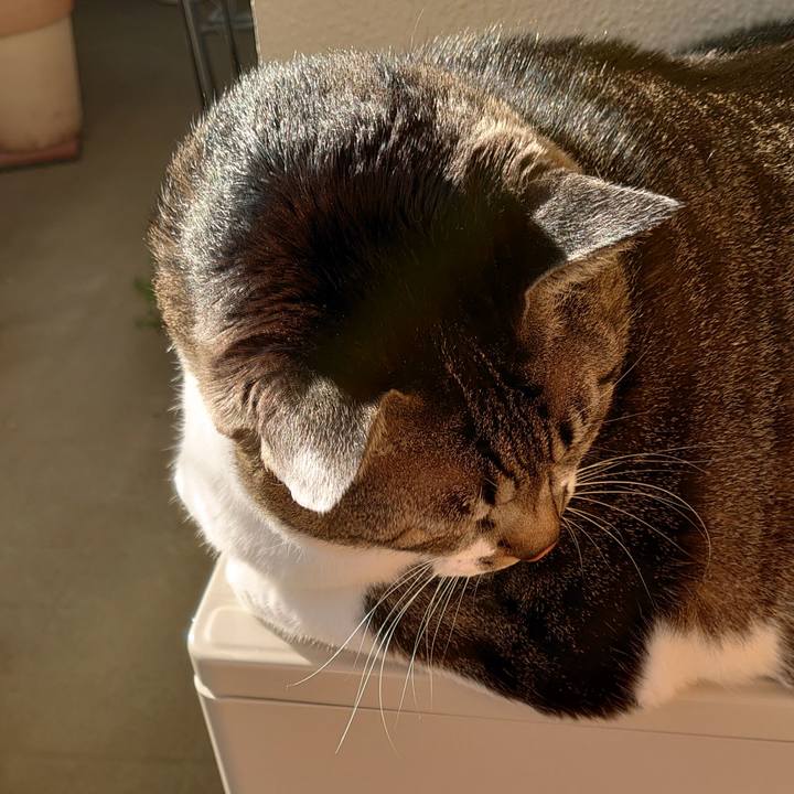 E408fc6f 5390 495e bacf c48ee11b62dc 1608337772906