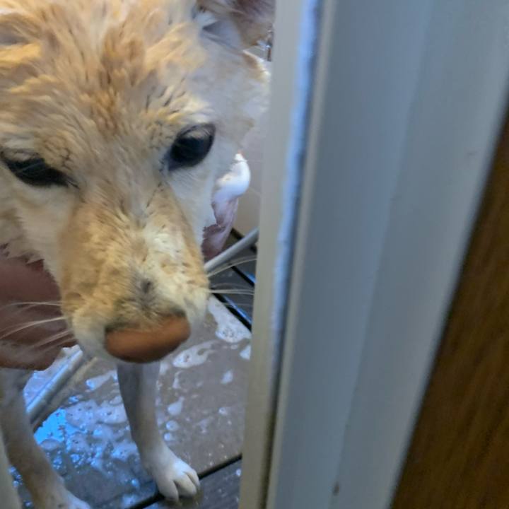 E40910f1 1983 4d2a a6f8 1d54c8d1c4e2 1635898845400