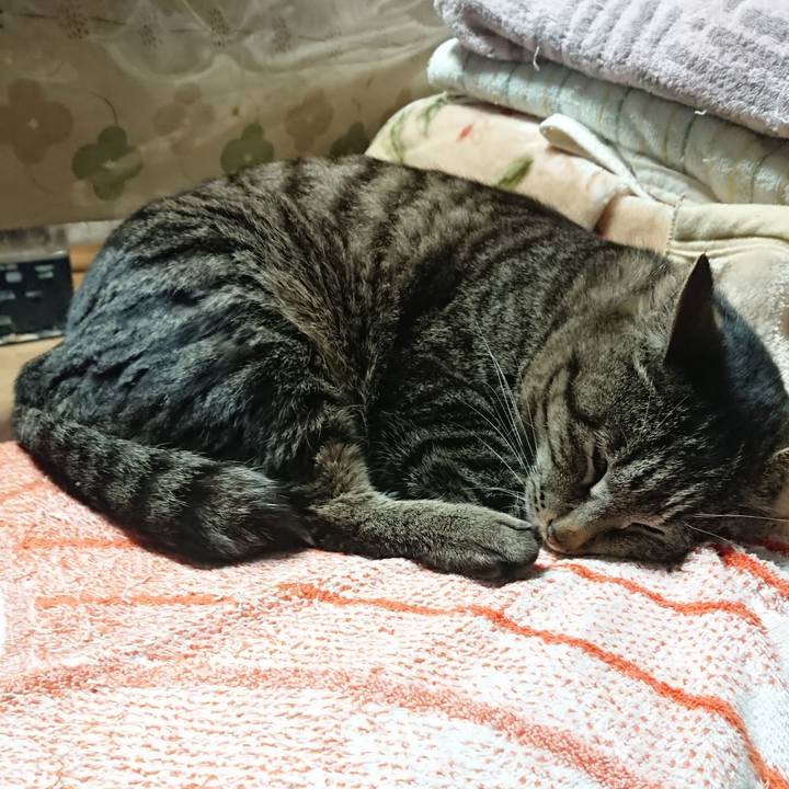 E4093a0d 9b15 4913 ae1f 0cc65e56a931 1648815799133