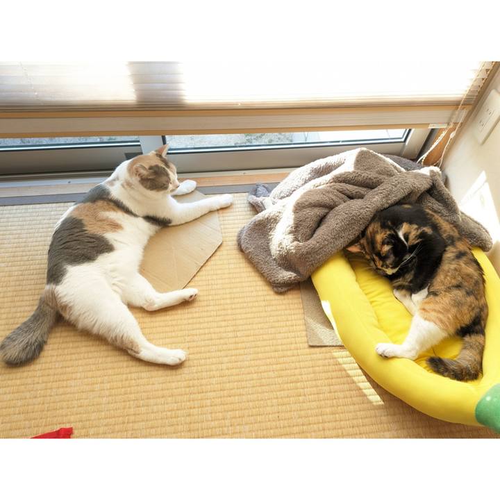 E4095c11 8552 41ee 8ac3 017caeb1e5d3 1698813013343