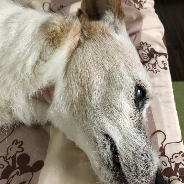 E4096549 b6ea 49fb b5c2 4d91d10b5b91 1592272195984