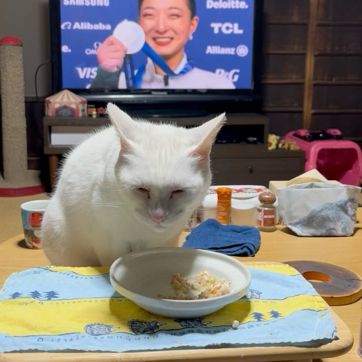 E40982bd 7029 4178 9cdf 8c23fe8cd56c 1771589143146