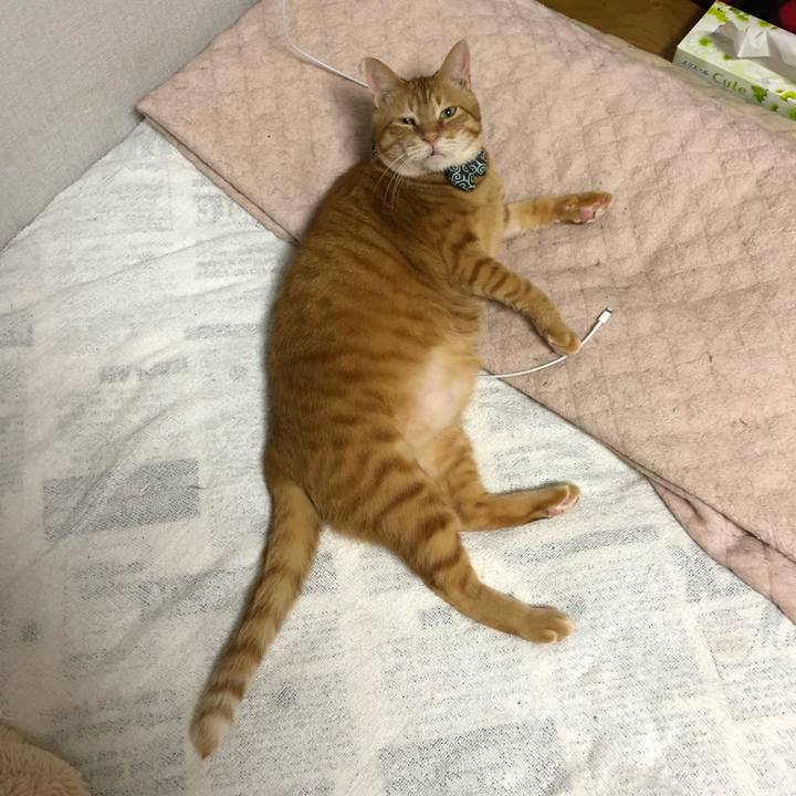 E4099264 a535 488e 9525 d13845830d61 1556453649959