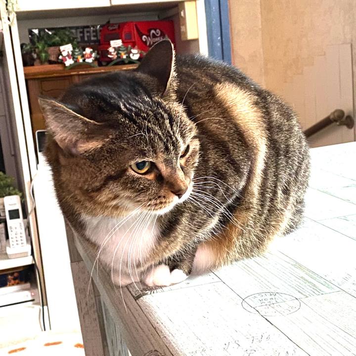 E409a5ba ace5 4d19 ac6f f150509a37d2 1577328610437