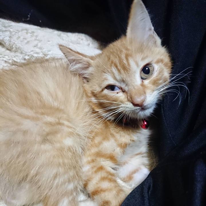 E409dbc8 6d3a 49ac 8c12 dbdd023ac308 1628684717166