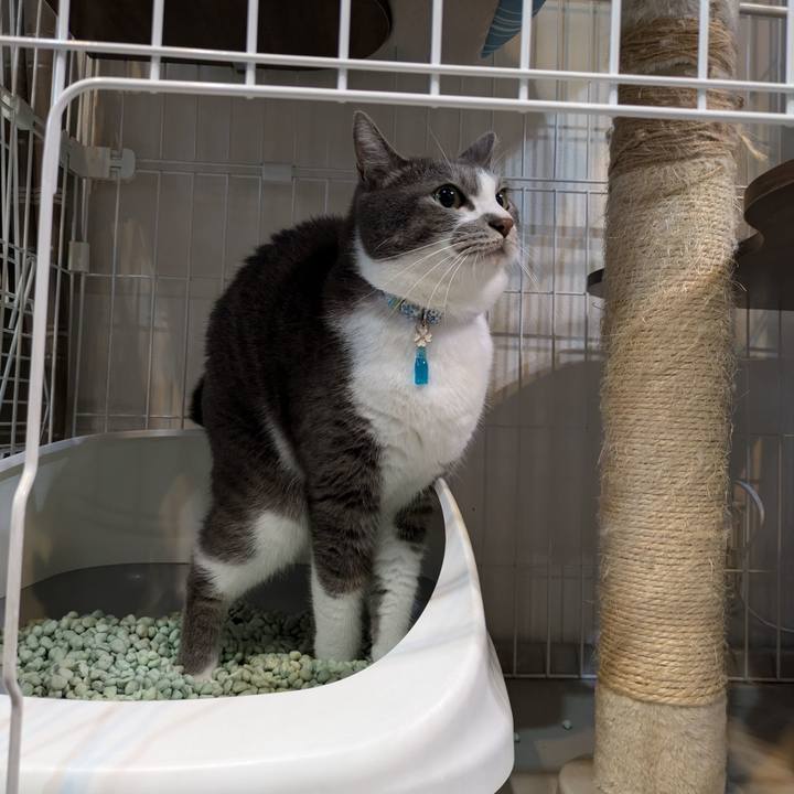 E409ec10 5663 488d acb8 12b7117f4399 1726437481497