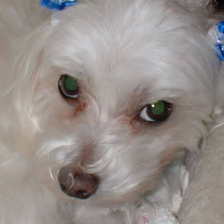 E40a0f97 4270 4096 b7c2 2fbb1b17ee29 1528176446306