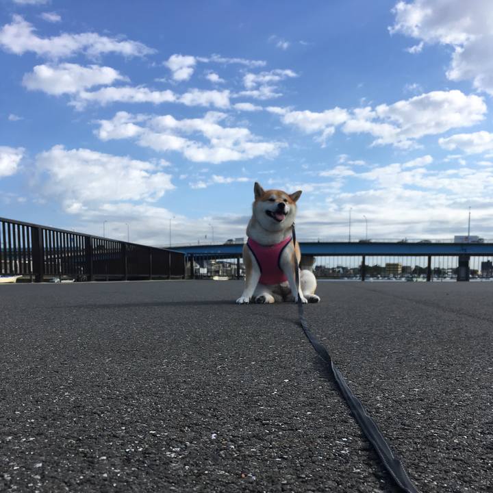 E40a195d 551d 41ff 85aa 6c0f67f009fc 1569370712495