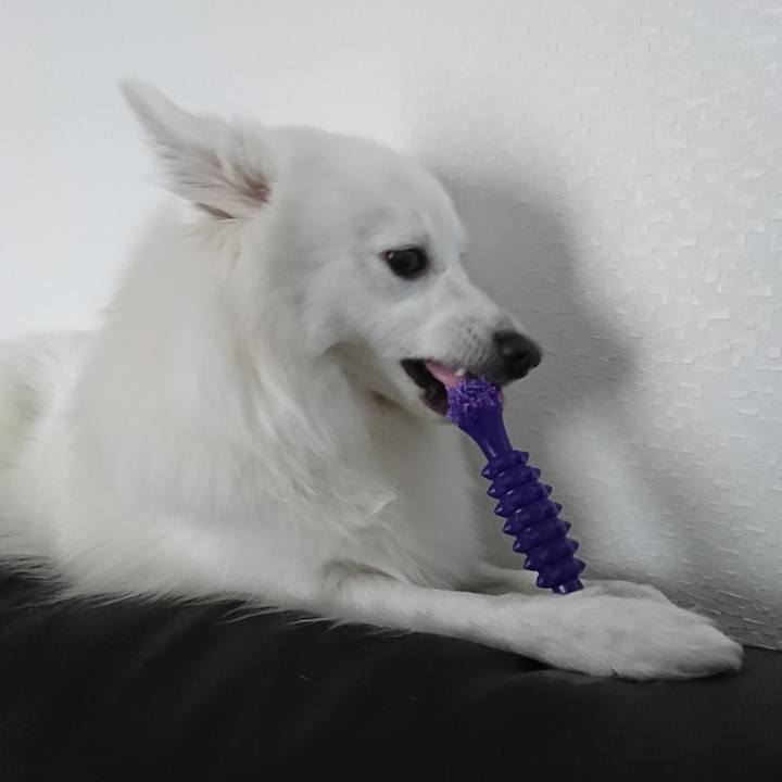 E40a279b 34fd 4783 b916 c127462ff001 1549431119657