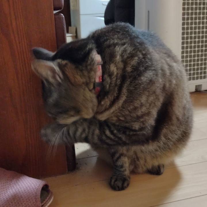 E40a33ab 8212 4460 ade3 526d9879c4f8 1718230162359