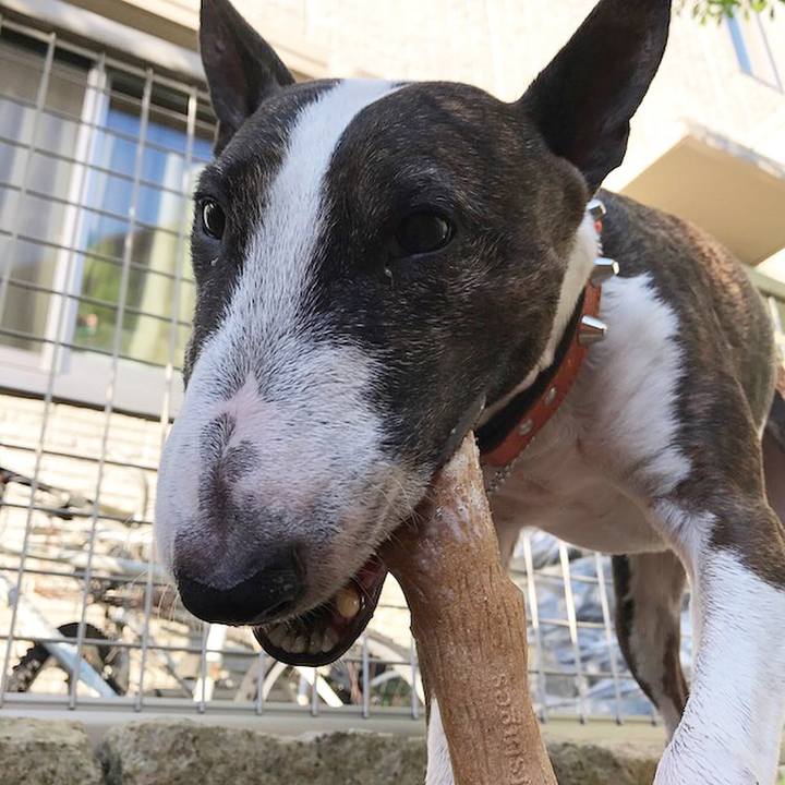 E40a366f 294d 47df baf0 426e0b73ff00 1508745740147