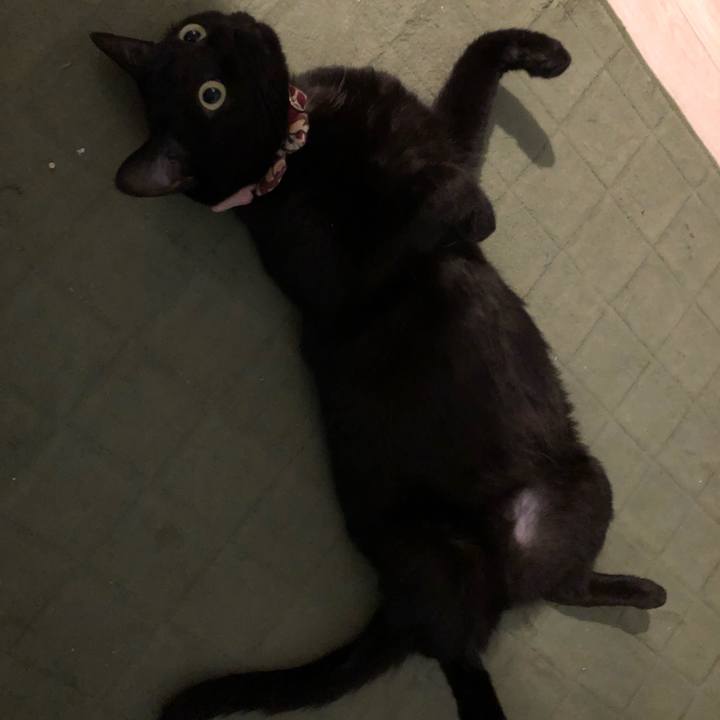 E40a5f28 4e73 4533 b287 9bae87b119f8 1596199576474