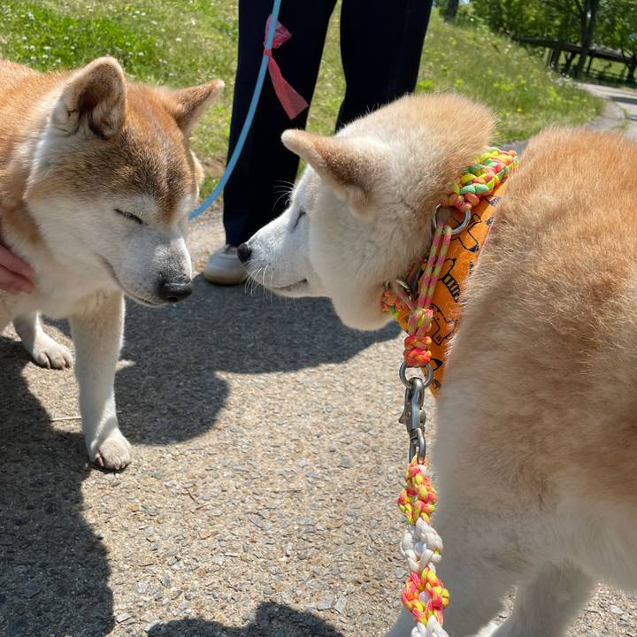 E40a7412 e2ea 4977 9ca5 3658e8a3acac 1651725638392