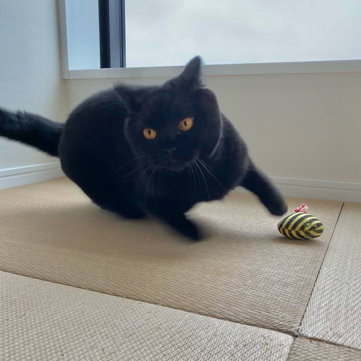 E40a88b4 4499 49a1 8e20 baf1285260a3 1628819978631